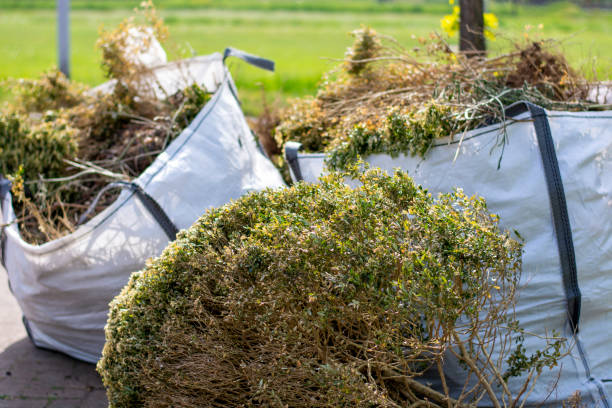 Best Construction Debris Removal  in Brooklet, GA